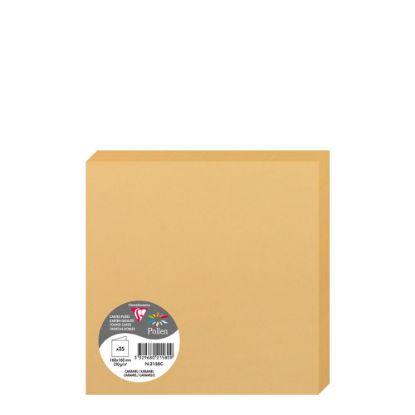 Picture of Pollen Cards 160x160mm (210gr) CARAMEL