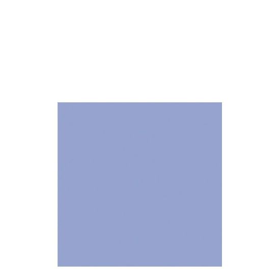 Picture of NAPKIN 33X33 LIGHT BLUE -28103