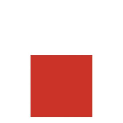 Picture of SLIP COVER-RED          -91110