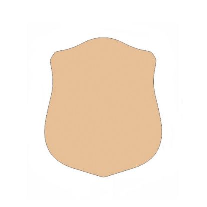 Picture of Aluminum Insert for FRA2051 (Gold)